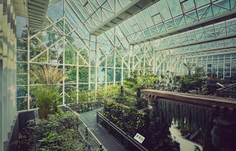 Swarna Jayanti Maitreya Manjari Orchidarium Gangtok